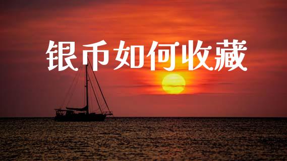 银币如何收藏_https://wap.yjjixie.cn_保险理财_第1张