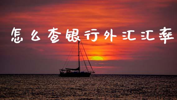 怎么查银行外汇汇率_https://wap.yjjixie.cn_证券市场_第1张