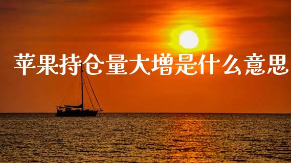 苹果持仓量大增是什么意思_https://wap.yjjixie.cn_商业资讯_第1张