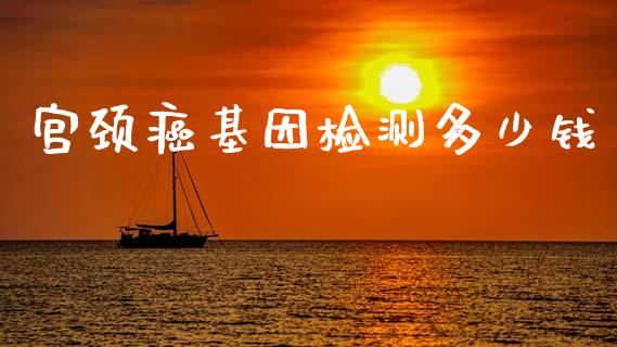 宫颈癌基因检测多少钱_https://wap.yjjixie.cn_港股行情_第1张