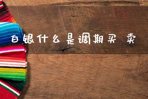 白银什么是调期买 卖_https://wap.yjjixie.cn_港股行情_第1张