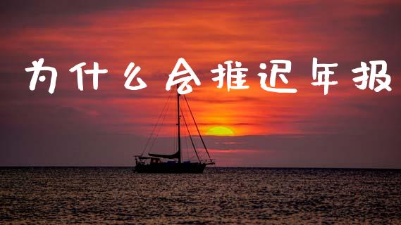 为什么会推迟年报_https://wap.yjjixie.cn_港股行情_第1张