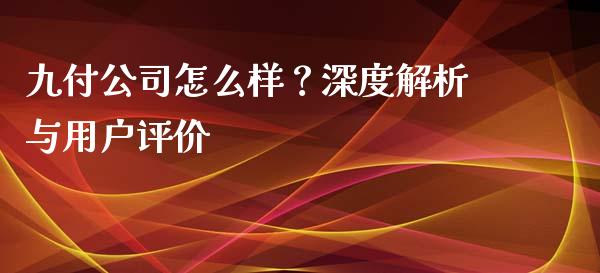九付公司怎么样？深度解析与用户评价_https://wap.yjjixie.cn_保险理财_第1张