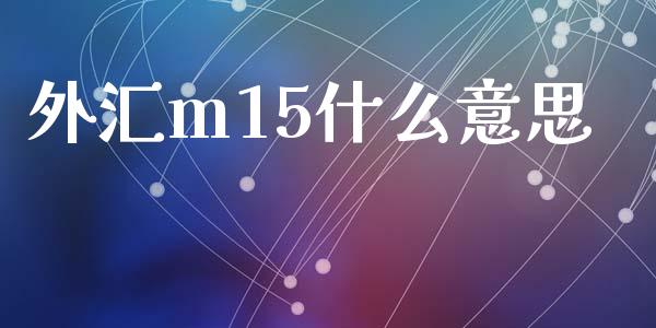 外汇m15什么意思_https://wap.yjjixie.cn_证券市场_第1张