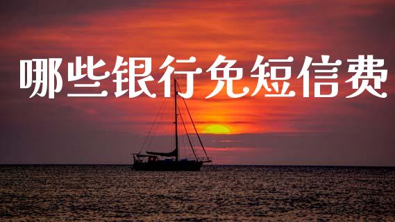 哪些银行免短信费_https://wap.yjjixie.cn_商业资讯_第1张