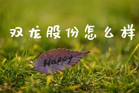 双龙股份怎么样_https://wap.yjjixie.cn_证券市场_第1张