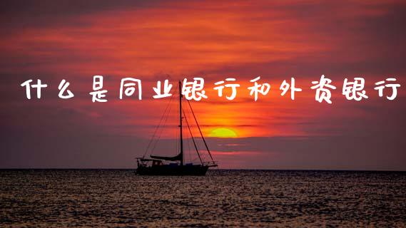 什么是同业银行和外资银行_https://wap.yjjixie.cn_保险理财_第1张