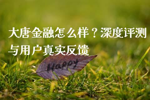 大唐金融怎么样？深度评测与用户真实反馈_https://wap.yjjixie.cn_港股行情_第1张