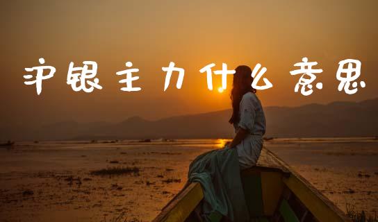 沪银主力什么意思_https://wap.yjjixie.cn_保险理财_第1张