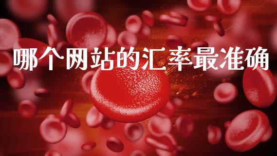 哪个网站的汇率最准确_https://wap.yjjixie.cn_保险理财_第1张