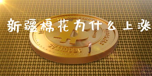 新疆棉花为什么上涨_港股行情_第1张_商业资讯_保险理财_证券市场_港股行情 新疆棉花为什么上涨_https://wap.yjjixie.cn_港股行情_第1张