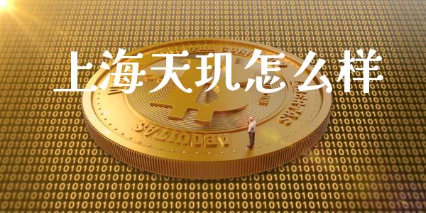 上海天玑怎么样_https://wap.yjjixie.cn_证券市场_第1张