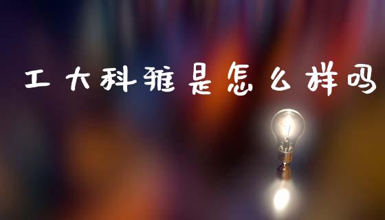 工大科雅是怎么样吗_https://wap.yjjixie.cn_保险理财_第1张