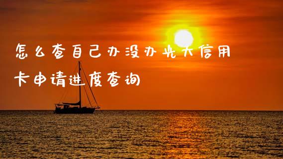 怎么查自己办没办光大信用卡申请进度查询_https://wap.yjjixie.cn_证券市场_第1张