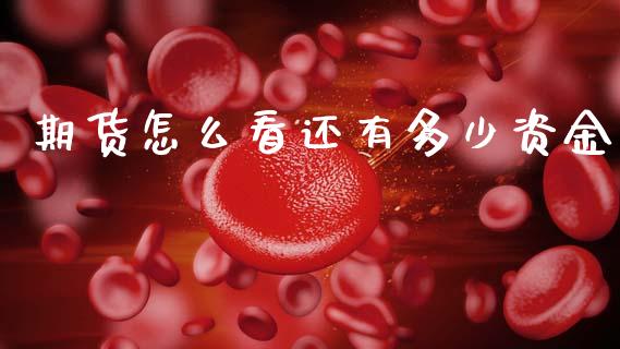 期货怎么看还有多少资金_https://wap.yjjixie.cn_商业资讯_第1张