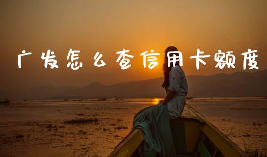 广发怎么查信用卡额度_https://wap.yjjixie.cn_保险理财_第1张