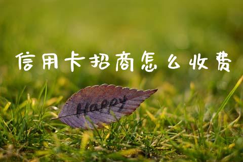 信用卡招商怎么收费_https://wap.yjjixie.cn_港股行情_第1张