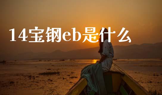 14宝钢eb是什么_https://wap.yjjixie.cn_证券市场_第1张