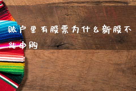 账户里有股票为什么新股不能申购_https://wap.yjjixie.cn_商业资讯_第1张
