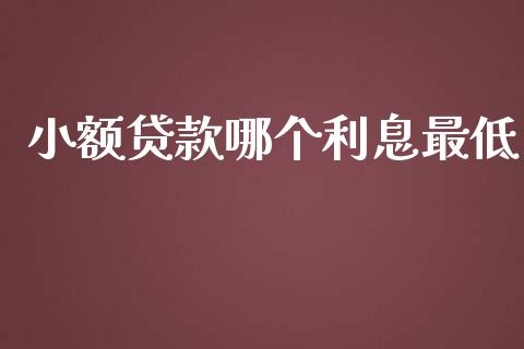 小额贷款哪个利息最低_https://wap.yjjixie.cn_证券市场_第1张