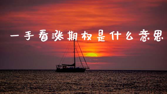 一手看涨期权是什么意思_https://wap.yjjixie.cn_港股行情_第1张