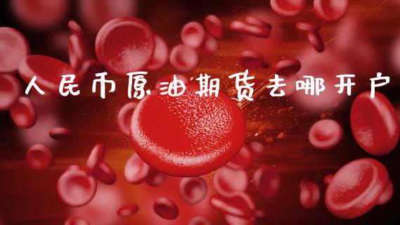 人民币原油期货去哪开户_https://wap.yjjixie.cn_保险理财_第1张