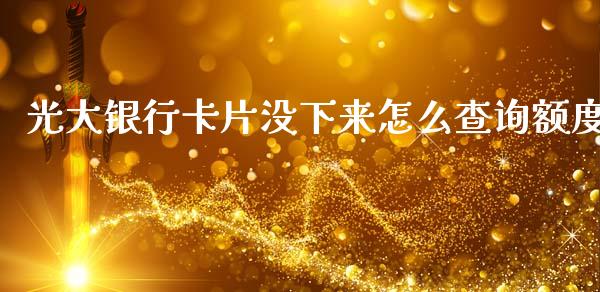 光大银行卡片没下来怎么查询额度_https://wap.yjjixie.cn_港股行情_第1张