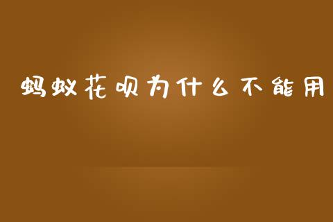 蚂蚁花呗为什么不能用_https://wap.yjjixie.cn_商业资讯_第1张