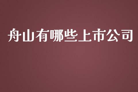 舟山有哪些上市公司_https://wap.yjjixie.cn_保险理财_第1张