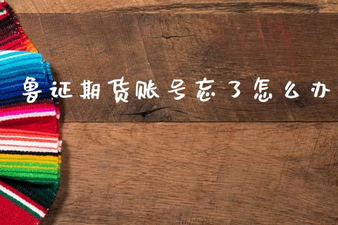 鲁证期货账号忘了怎么办_https://wap.yjjixie.cn_商业资讯_第1张