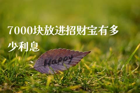 7000块放进招财宝有多少利息_https://wap.yjjixie.cn_港股行情_第1张
