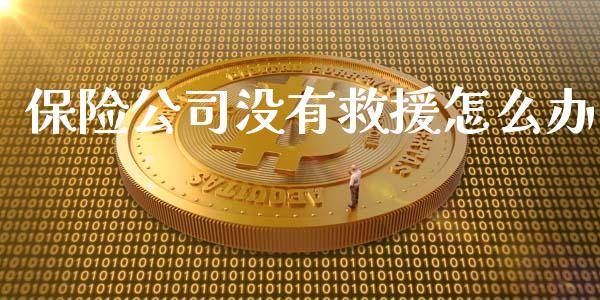 保险公司没有救援怎么办_https://wap.yjjixie.cn_证券市场_第1张