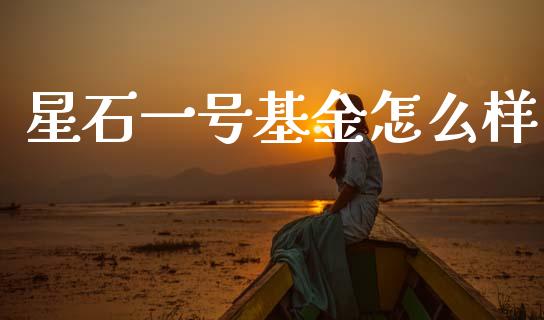 星石一号基金怎么样_https://wap.yjjixie.cn_商业资讯_第1张