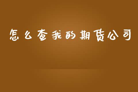 怎么查我的期货公司_https://wap.yjjixie.cn_保险理财_第1张