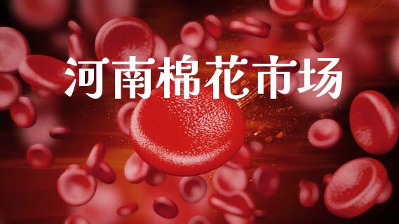 河南棉花市场_https://wap.yjjixie.cn_保险理财_第1张