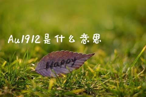 Au1912是什么意思_https://wap.yjjixie.cn_保险理财_第1张