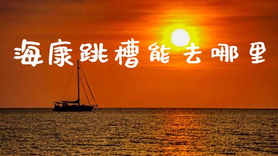 海康跳槽能去哪里_https://wap.yjjixie.cn_港股行情_第1张