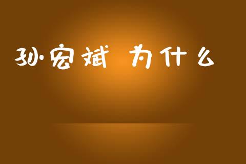孙宏斌 为什么_https://wap.yjjixie.cn_证券市场_第1张