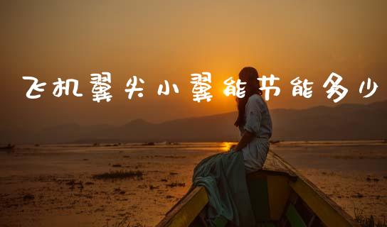 飞机翼尖小翼能节能多少_https://wap.yjjixie.cn_港股行情_第1张