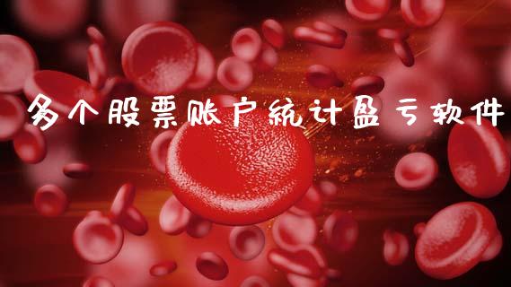 多个股票账户统计盈亏软件_https://wap.yjjixie.cn_港股行情_第1张