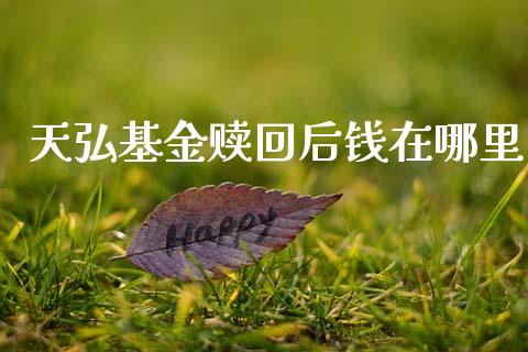 天弘基金赎回后钱在哪里_https://wap.yjjixie.cn_证券市场_第1张