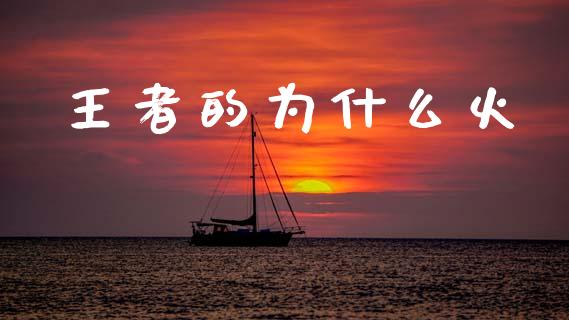 王者的为什么火_https://wap.yjjixie.cn_保险理财_第1张