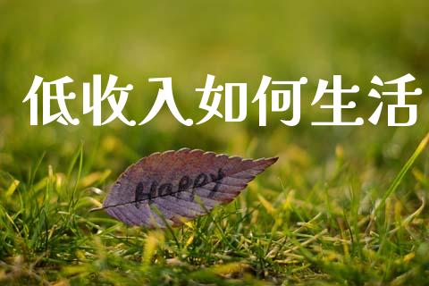 低收入如何生活_https://wap.yjjixie.cn_证券市场_第1张