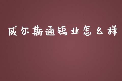 威尔斯通钨业怎么样_https://wap.yjjixie.cn_港股行情_第1张