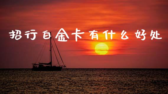招行白金卡有什么好处_https://wap.yjjixie.cn_证券市场_第1张