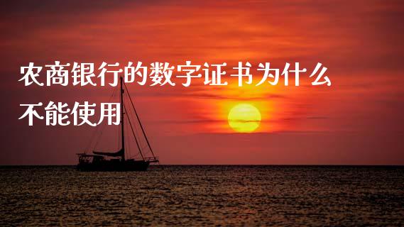 农商银行的数字证书为什么不能使用_https://wap.yjjixie.cn_证券市场_第1张