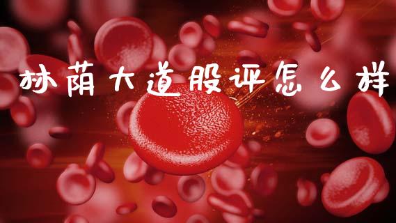 林荫大道股评怎么样_https://wap.yjjixie.cn_保险理财_第1张