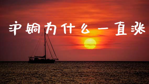 沪铜为什么一直涨_https://wap.yjjixie.cn_保险理财_第1张