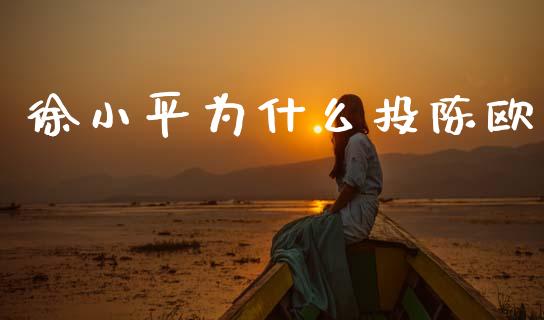 徐小平为什么投陈欧_https://wap.yjjixie.cn_保险理财_第1张