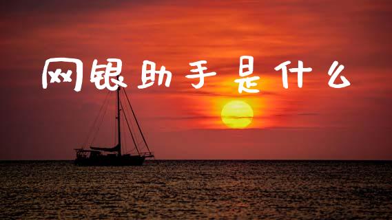网银助手是什么_https://wap.yjjixie.cn_港股行情_第1张